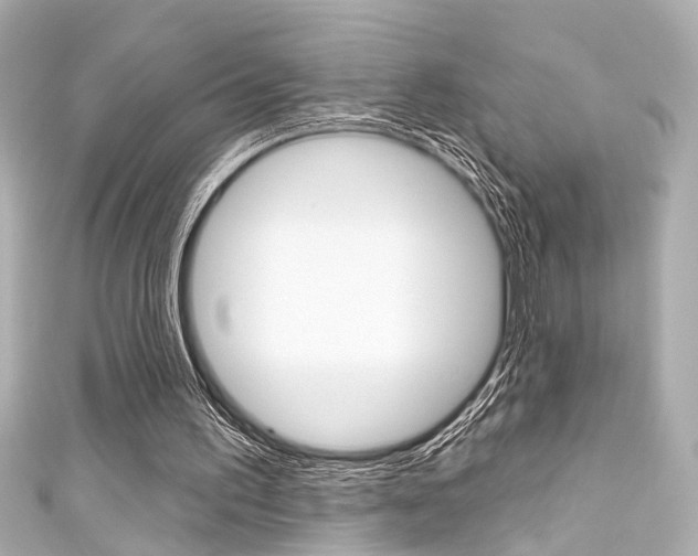 X0000111590195200907161200