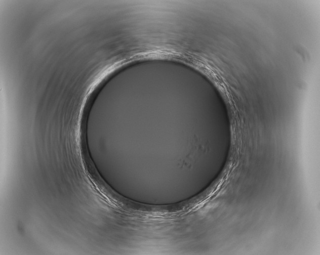 X0000111590196200907161200