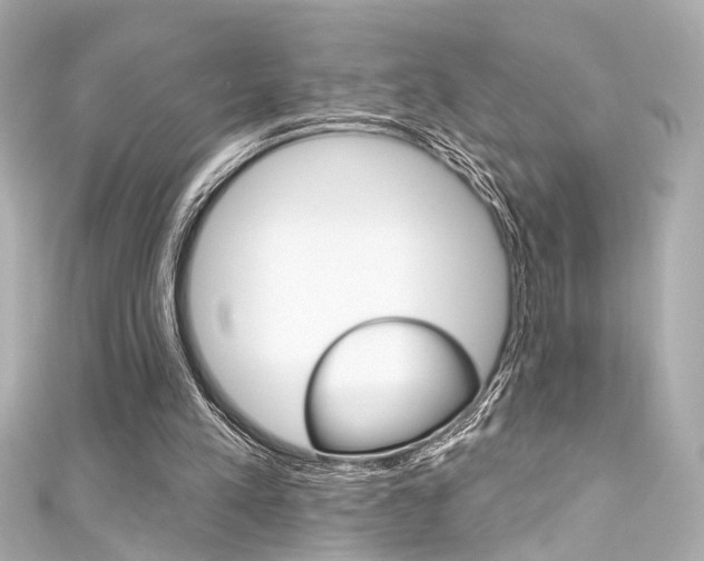 X0000111590197200907161200