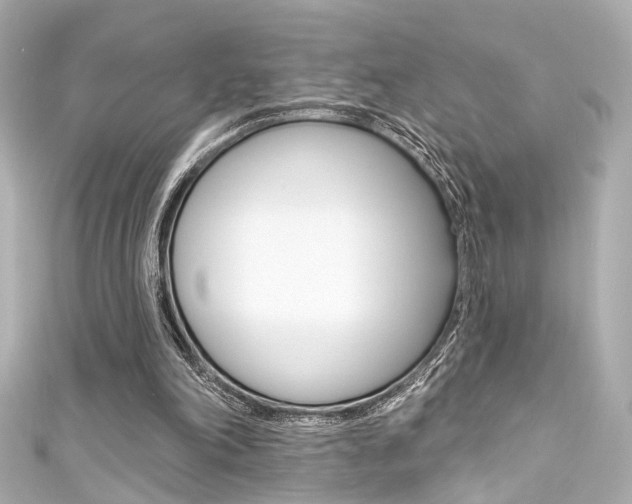 X0000111590198200907161200