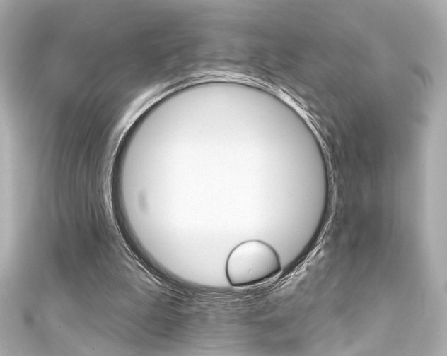 X0000111590199200907161200