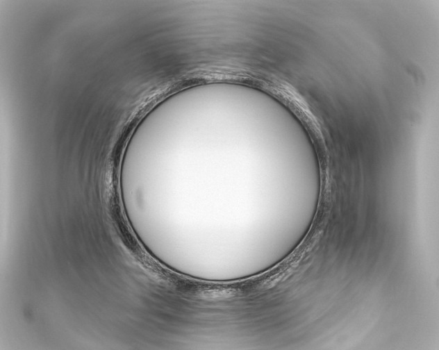 X0000111590202200907161200