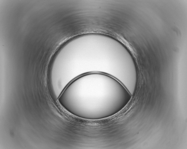 X0000111590203200907161200