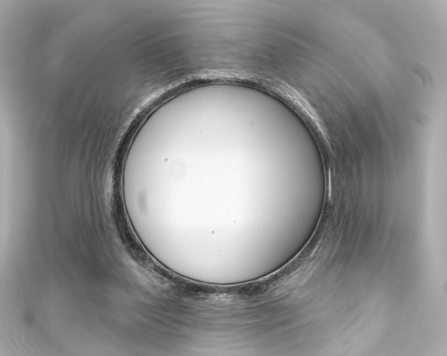 X0000111590204200907161200