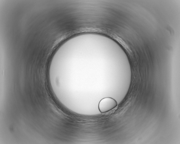 X0000111590207200907161200