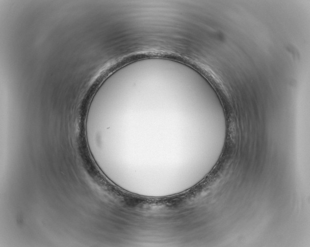 X0000111590208200907161200