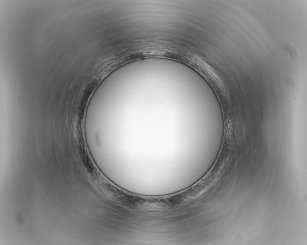 X0000111590209200907161200