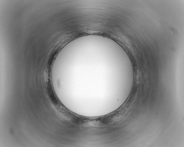 X0000111590210200907161200