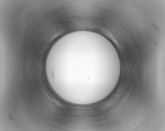 X0000111590211200907161200