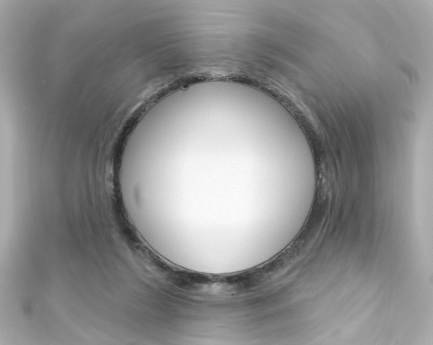 X0000111590212200907161200