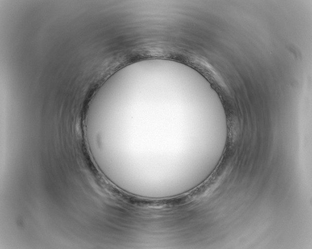 X0000111590213200907161200