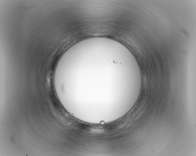 X0000111590214200907161200