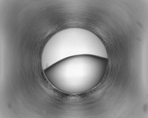 X0000111590215200907161200