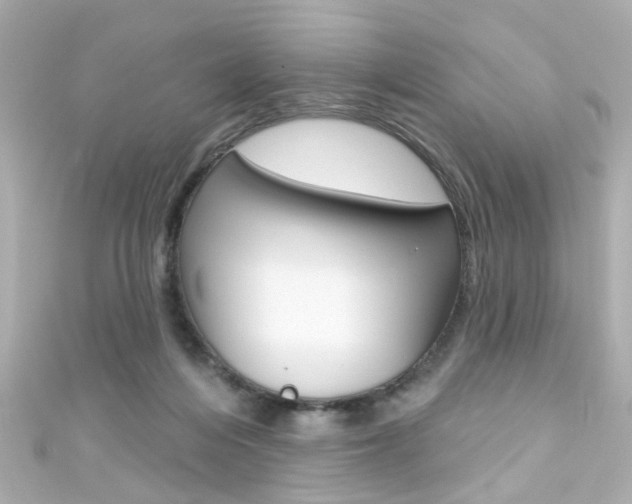 X0000111590216200907161200