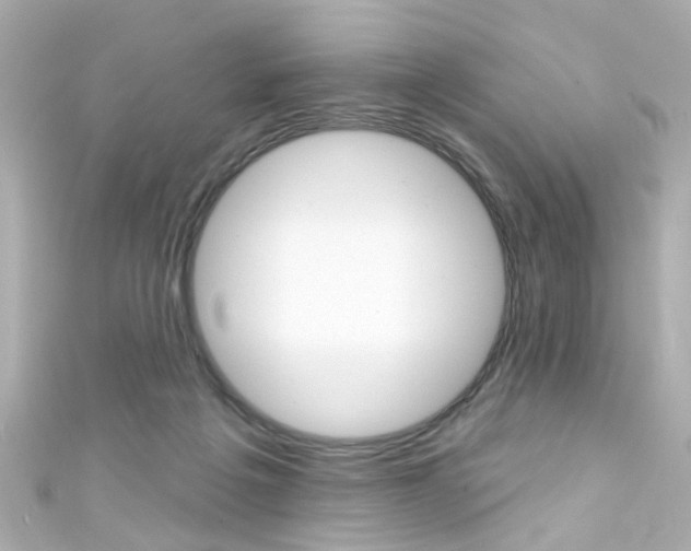 X0000111590217200907161200