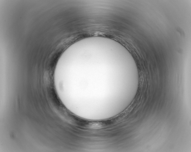 X0000111590218200907161200