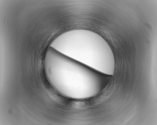 X0000111590220200907161200