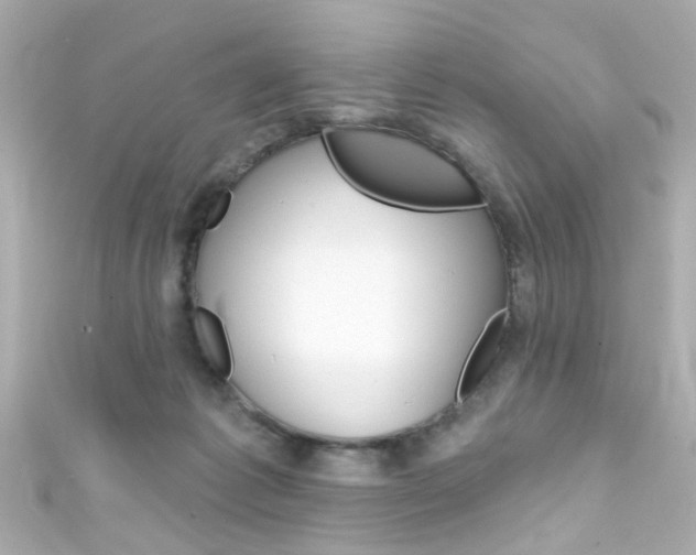 X0000111590221200907161200