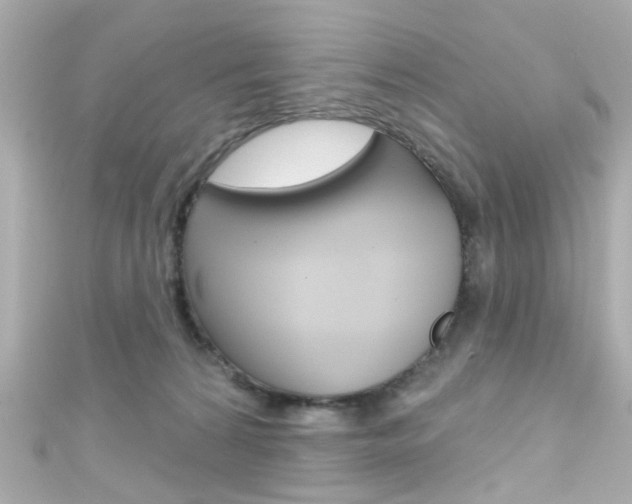 X0000111590224200907161200