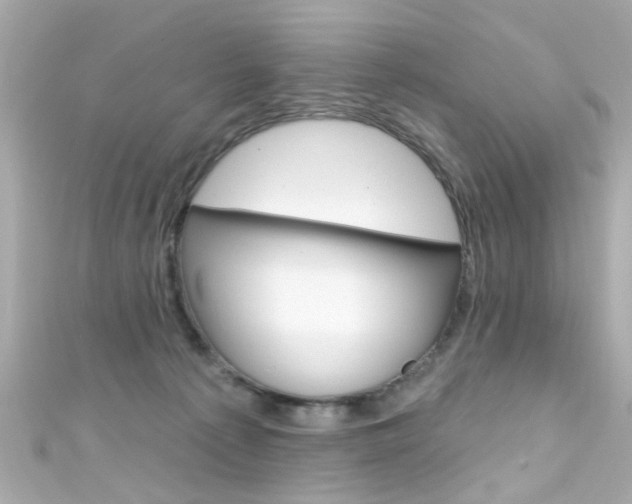 X0000111590225200907161200