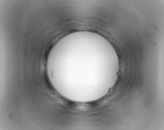 X0000111590226200907161200