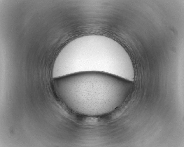 X0000111590227200907161200