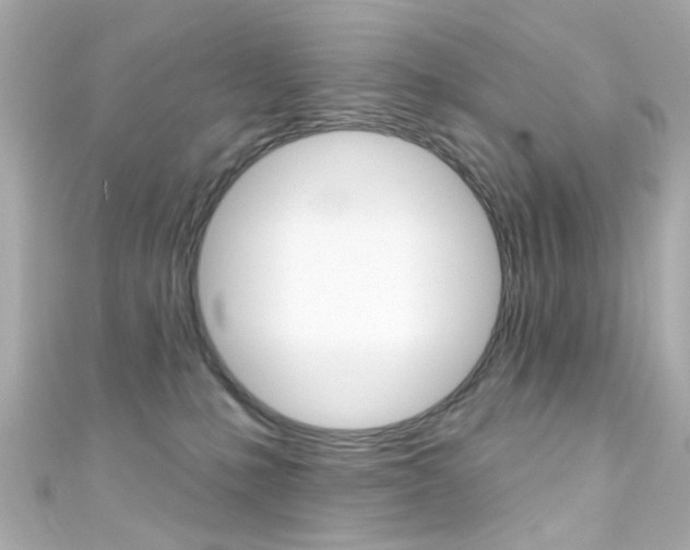 X0000111590231200907161159