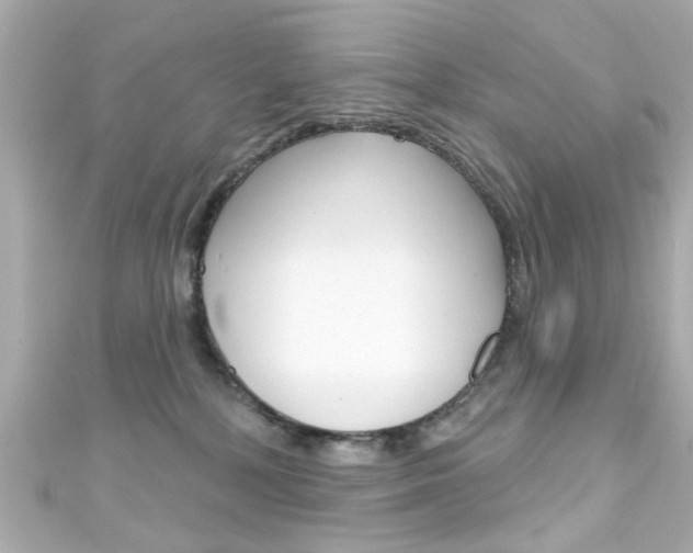 X0000111590232200907161159