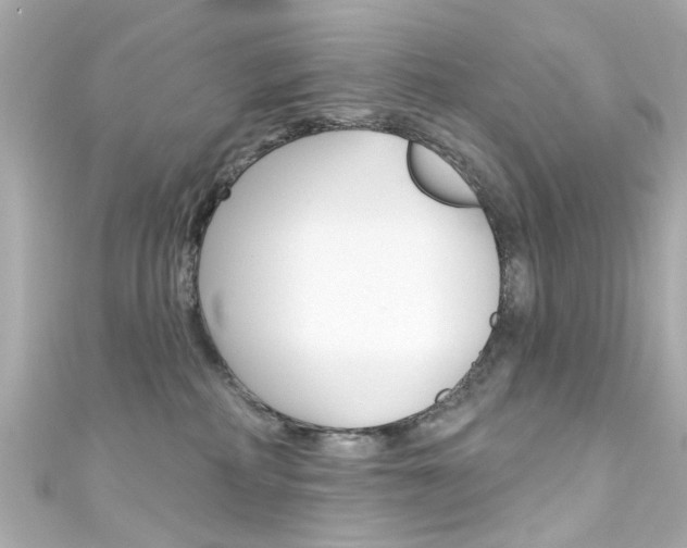 X0000111590234200907161159