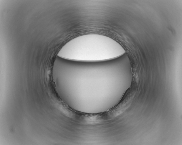 X0000111590235200907161159