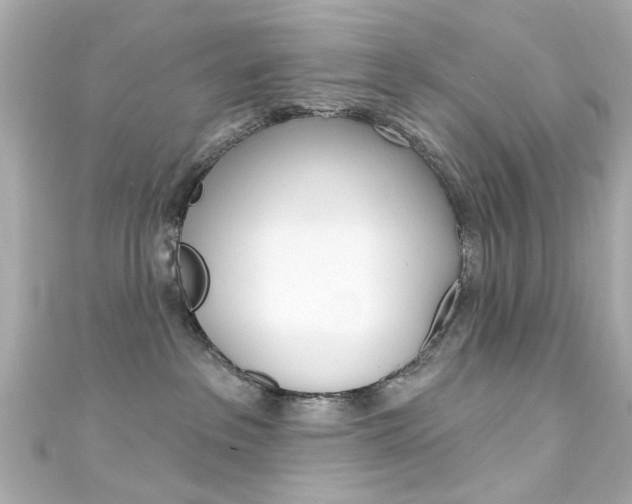 X0000111590237200907161159