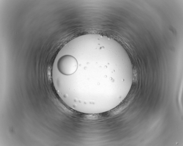 X0000111590238200907161159