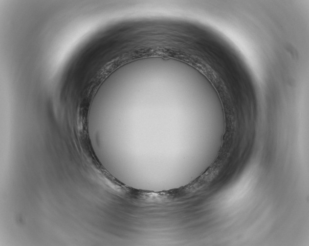 X0000111590239200907161159