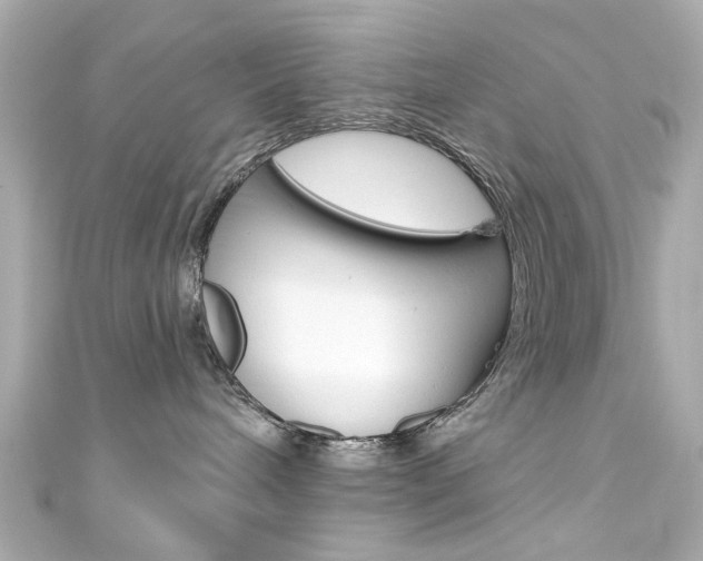 X0000111590240200907161159