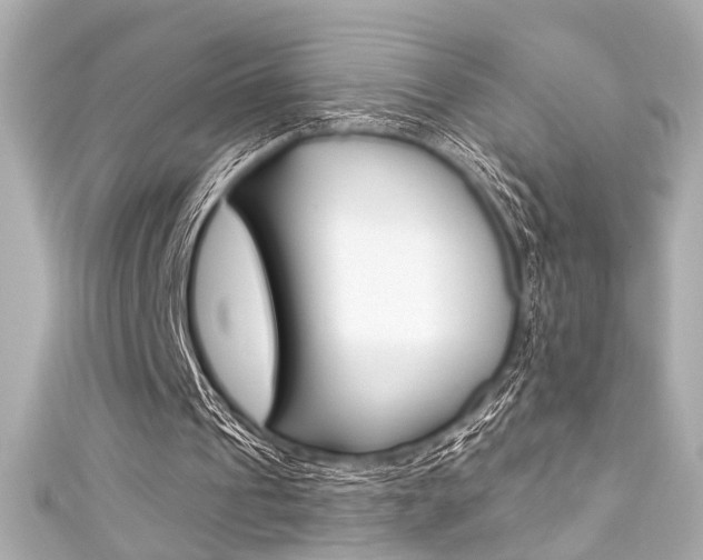 X0000111590241200907161159