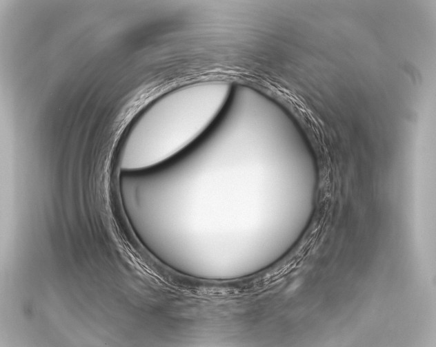 X0000111590242200907161159