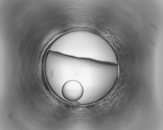 X0000111590243200907161159