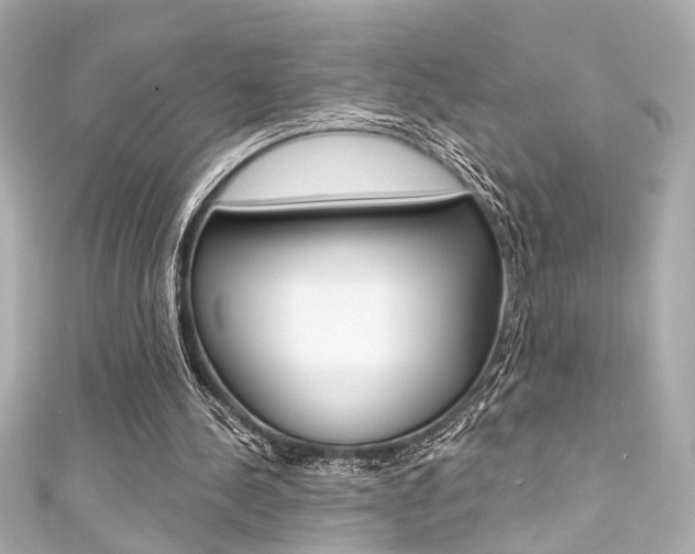 X0000111590244200907161159