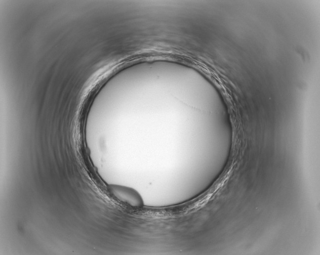 X0000111590245200907161159