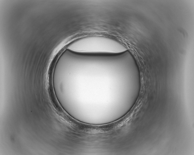 X0000111590246200907161159