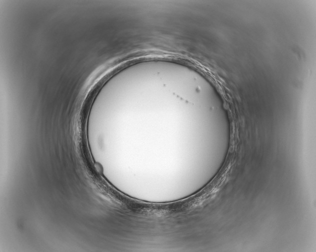 X0000111590247200907161159