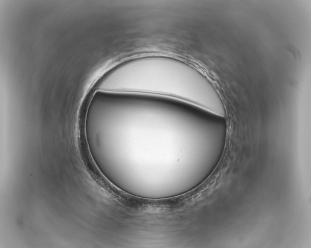 X0000111590248200907161159