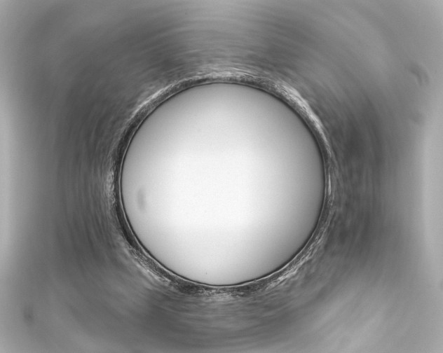 X0000111590249200907161159