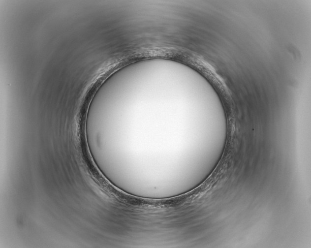 X0000111590250200907161159