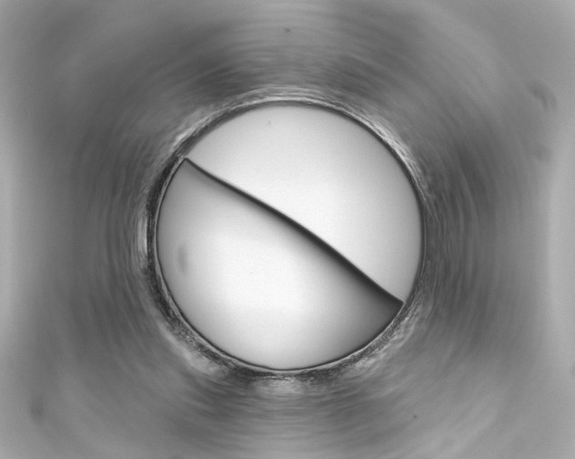 X0000111590253200907161159