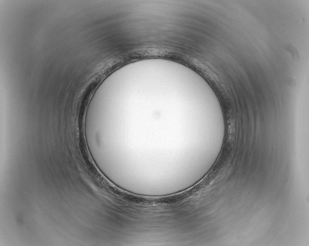 X0000111590254200907161159