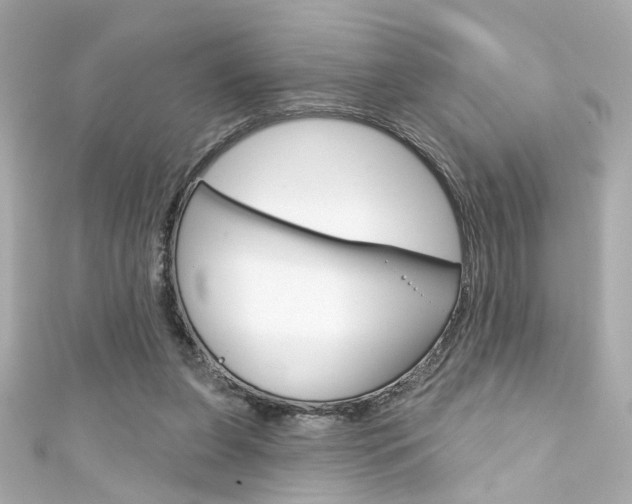 X0000111590255200907161159