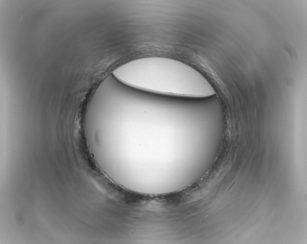 X0000111590259200907161159