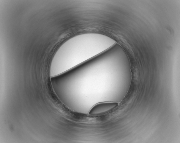 X0000111590260200907161159