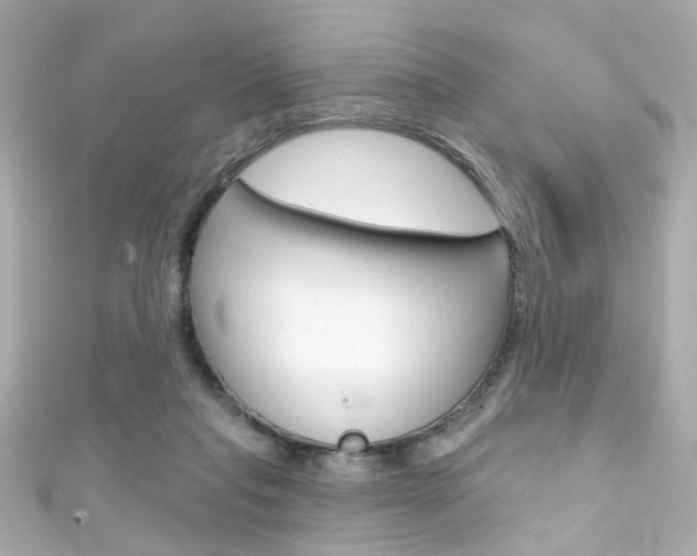 X0000111590261200907161159